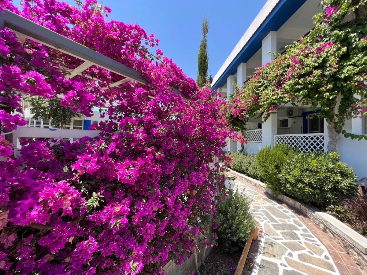Scala Aparts & Studios - Rhodes Afantou Exterior photo